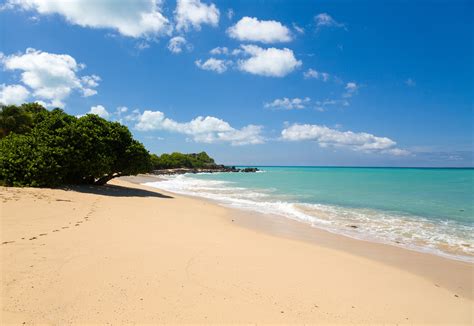 st martin nude|Happy Bay Beach